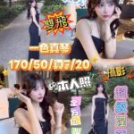 台中定點茶-一色真琴/170/50/20/F