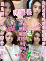 新竹定點茶-陳星星/160/45/23/D