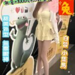桃園外送茶-兔兔/150/42/22/E