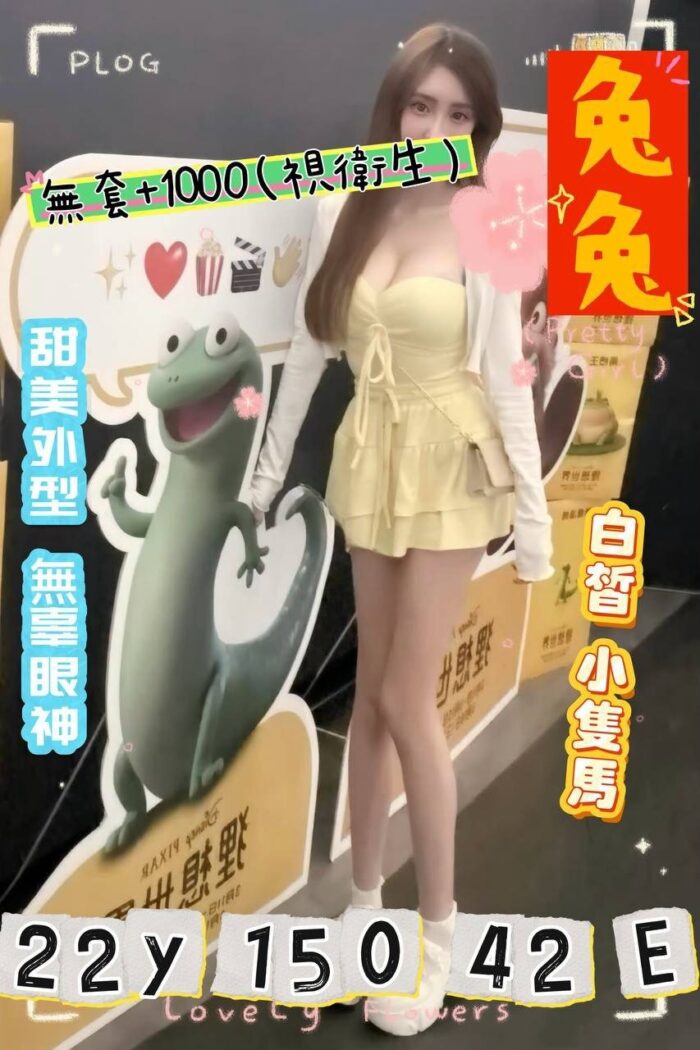 桃園外送茶-兔兔/150/42/22/E