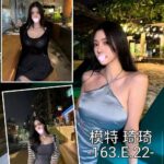 台中外送茶-琦琦/163/50/22/E