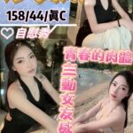 台北定點茶-莎賓娜/158/44/?/C