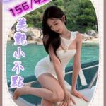 台中外送茶-毛兒/156/43/?/B