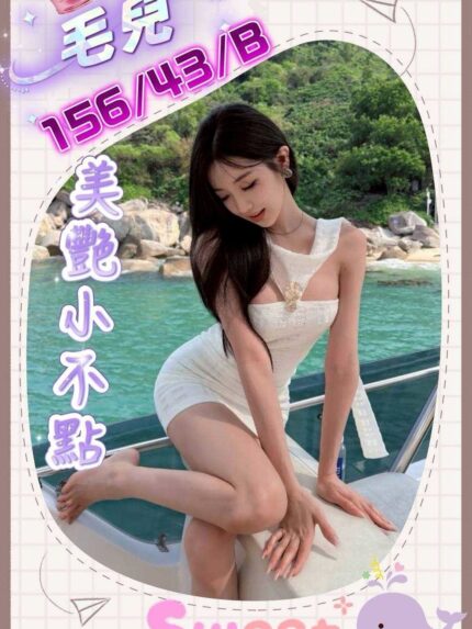 台中外送茶-毛兒/156/43/?/B