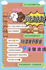台南定點茶-黃綺綺/165/45/21/E