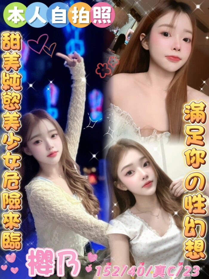 雲林定點茶-櫻乃/152/40/23/C