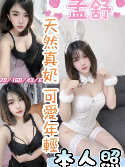 南投定點茶-孟舒/160/43/20/E