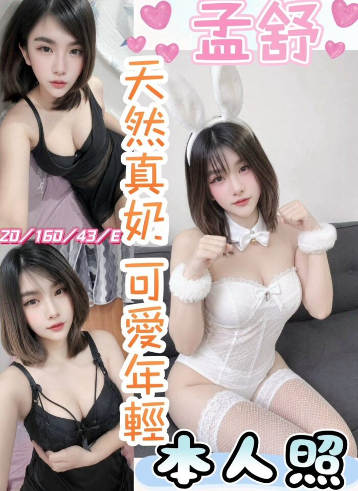 南投定點茶-孟舒/160/43/20/E
