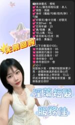 新竹定點茶-櫻桃/157/46/22/D