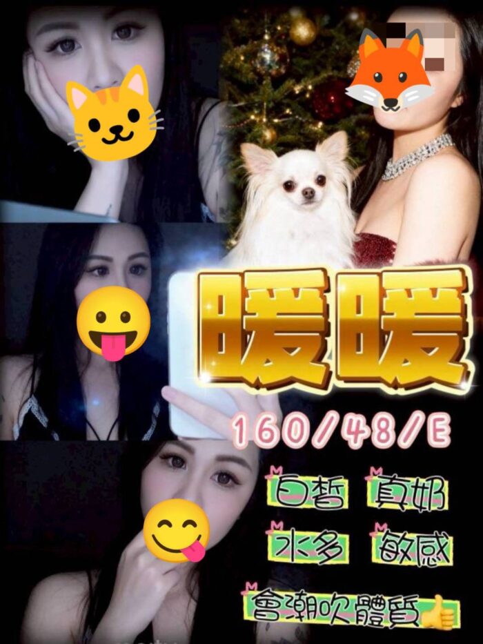 台中定點茶-暖暖/160/48/25/E 台中定點茶-暖暖/160/48/25/E