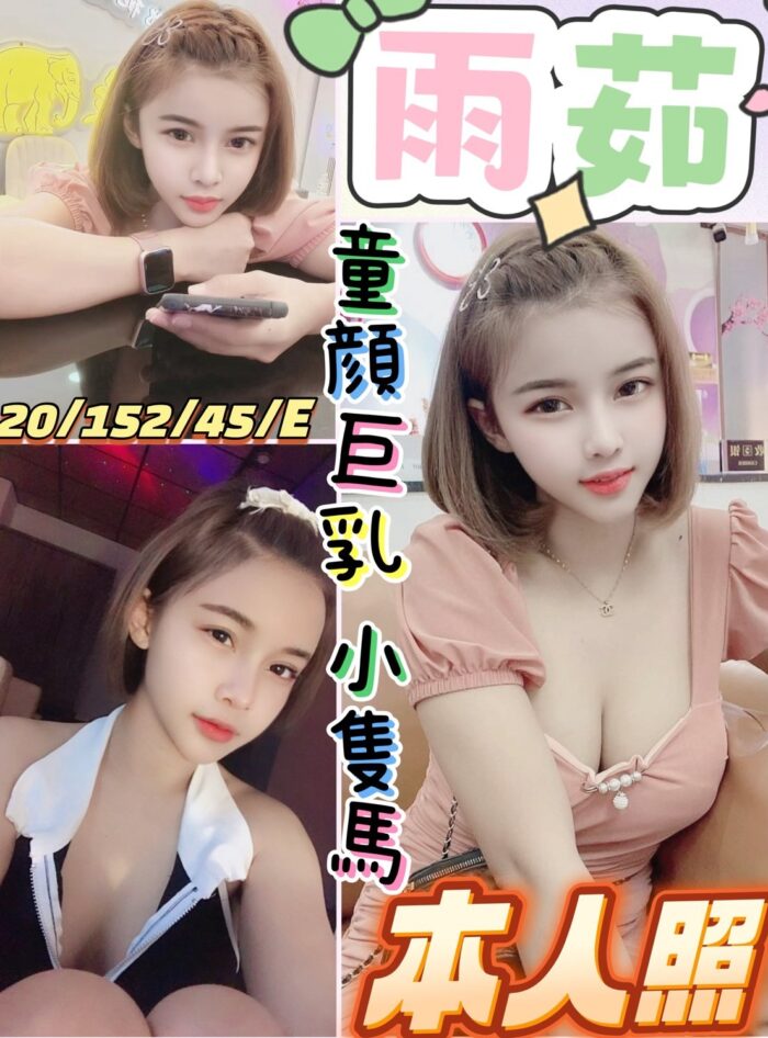南投定點茶-雨茹/152/45/20/E