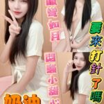 新北定點茶-奶油/155/44/22/C
