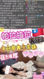 台北定點茶-帕拉梅拉/161/45/21/C