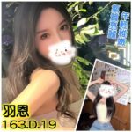 台北外送茶-羽恩/163/?/19/D