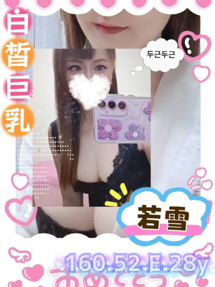 新北定點茶-若雪/160/52/28/E