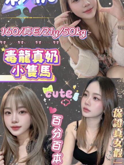 新北定點茶-彩桃/160/50/21/E