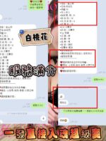 新竹定點茶-白桃花/153/43/21/D
