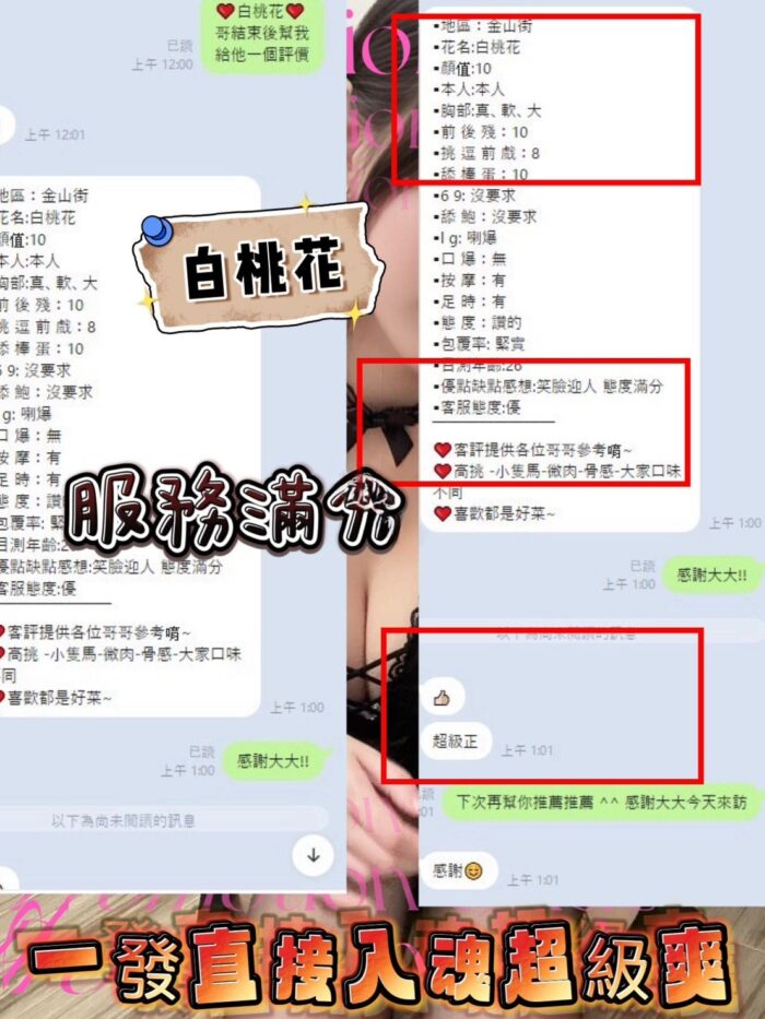 新竹定點茶-白桃花/153/43/21/D