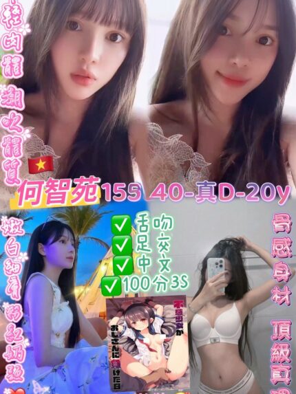 桃園定點茶-何智苑/155/40/20/D