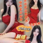 台南定點茶-晨曦/160/45/21/E