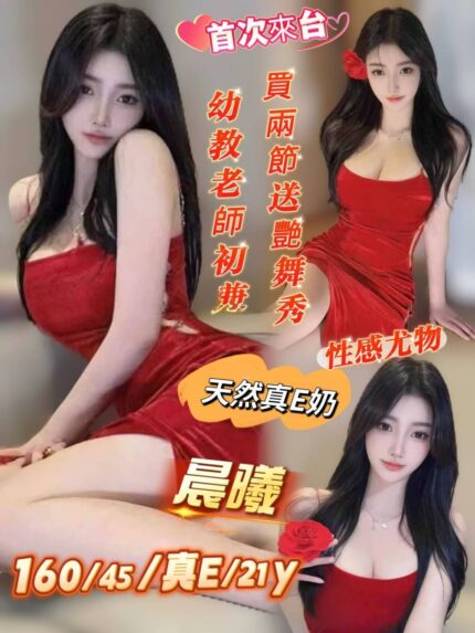 台南定點茶-晨曦/160/45/21/E