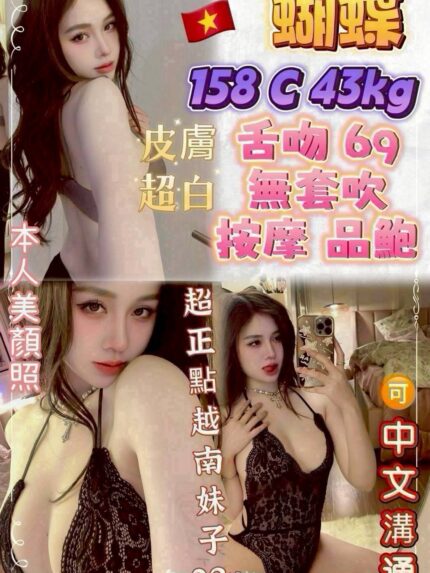 新北定點茶-蝴蝶/158/43/?/C