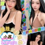 屏東外送茶-小茜/154/40/20/D