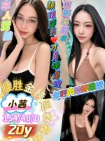 屏東外送茶-小茜/154/40/20/D