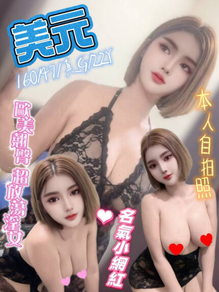 新北定點茶-美元/160/47/22/G