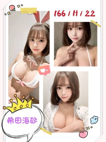 台北外送茶-希田海砂/166/?/22/H
