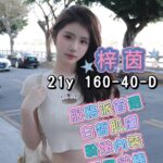 台南外送茶-梓茵/160/40/21/D