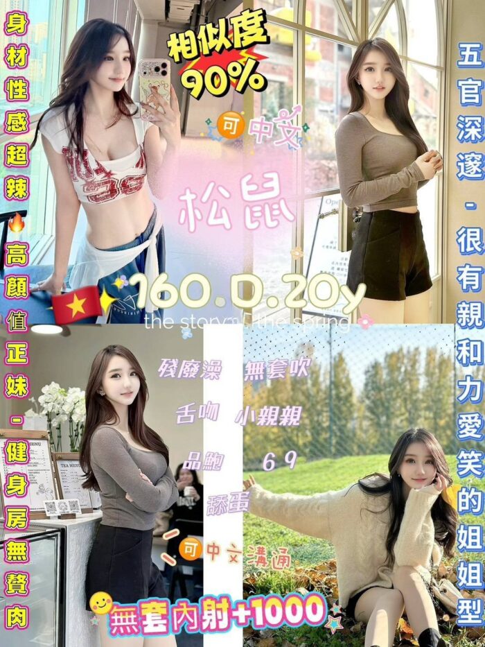 台北定點茶-松鼠/160/45/20/D 台北定點茶-松鼠/160/45/20/D