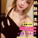 台中定點茶-月兔/155/45/?/D