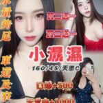 桃園定點茶-小濕濕/160/45/20/B