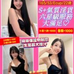 桃園定點茶-六瑤/165/53/22/E