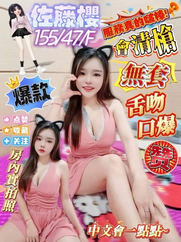 高雄定點茶-佐藤櫻/155/47/26/F