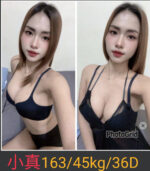 南投定點茶-小真/163/45/?/D