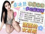 台中定點茶-泰迪熊/158/47/24/F