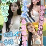 苗栗定點茶-歐莉/160/45/?/D