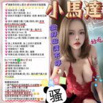 新竹定點茶-小馬達/160/46/?/E