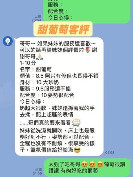 台南定點茶-甜葡萄/155/45/22/H
