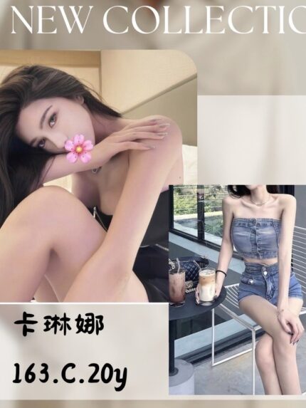 台北外送茶-卡琳娜/163/?/20/C