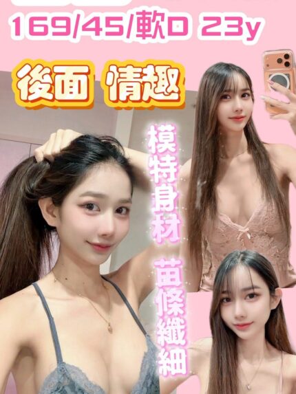 新竹定點茶-西西/169/45/23/D