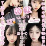 新竹定點茶-粉嫩/162/50/19/E
