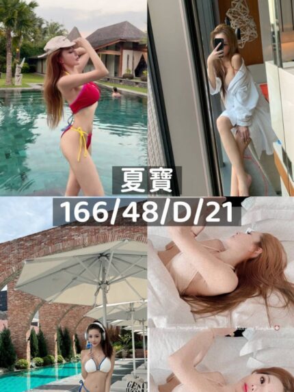 桃園外送茶-夏寶/166/48/21/D