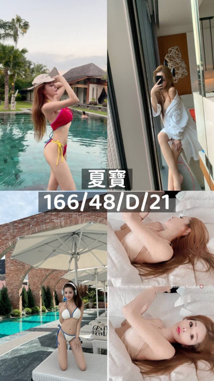桃園外送茶-夏寶/166/48/21/D