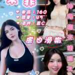 台北定點茶-米菲/160/45/?/C
