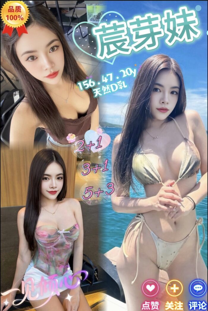 苗栗定點茶-莀芽妹/156/47/20/D