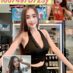 新北定點茶-秋冬/160/49/23/D
