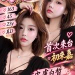 嘉義定點茶-小S/163/45/23/D